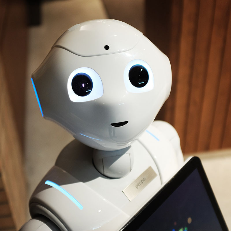 Robot